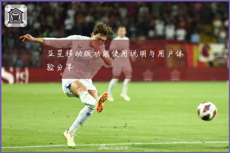 亚星移动版功能使用说明与用户体验分享